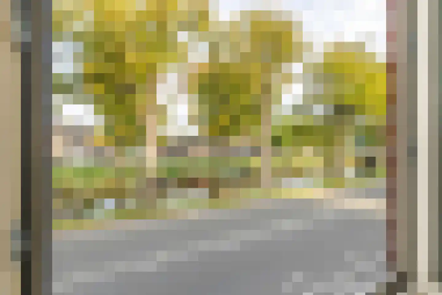Wilhelminasingel 8 A Breda thumbnail 30