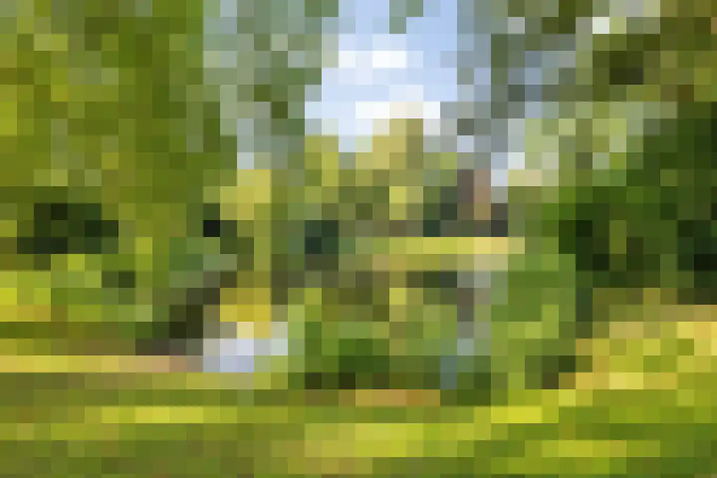 Wilhelminasingel 8 A Breda thumbnail 63