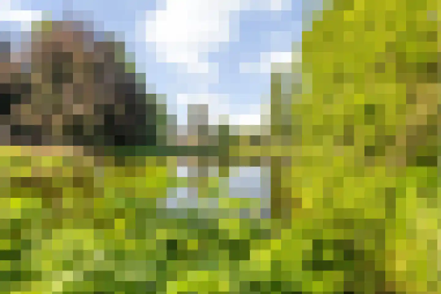 Wilhelminasingel 8 A Breda thumbnail 65