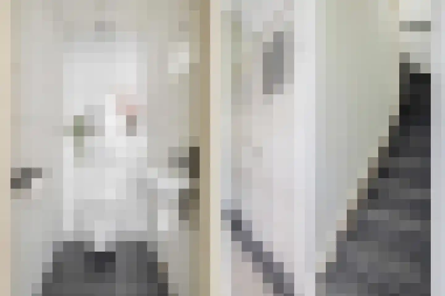 Wilhelminasingel 8 Breda thumbnail 11