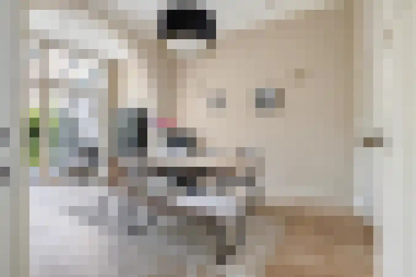 Wilhelminasingel 8 Breda thumbnail 12