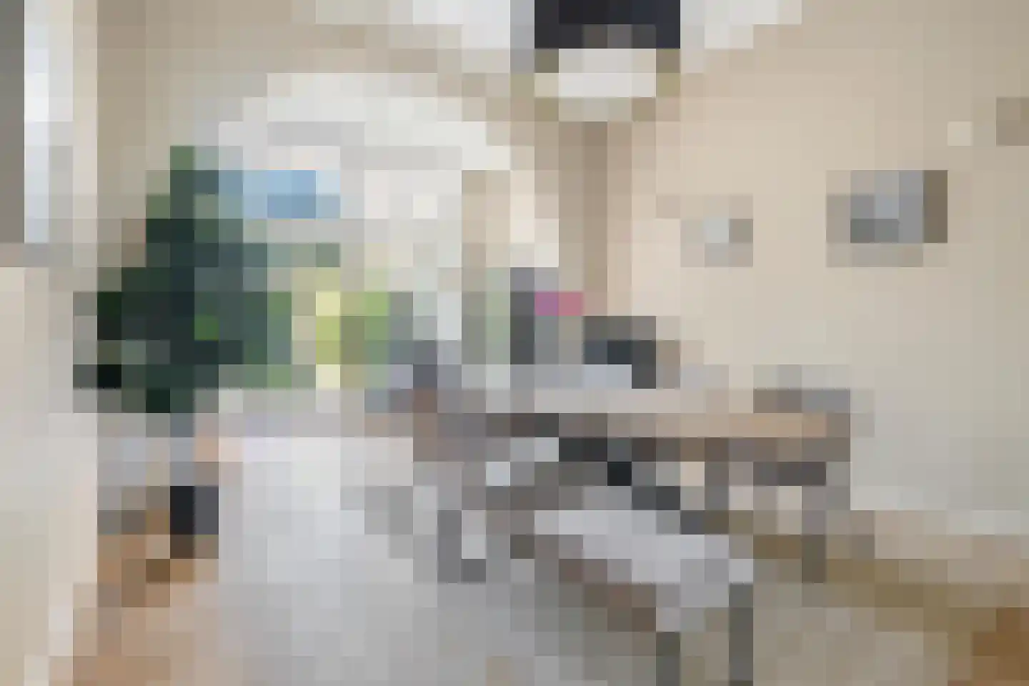 Wilhelminasingel 8 Breda thumbnail 19