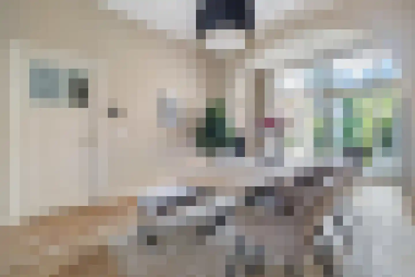 Wilhelminasingel 8 Breda thumbnail 21