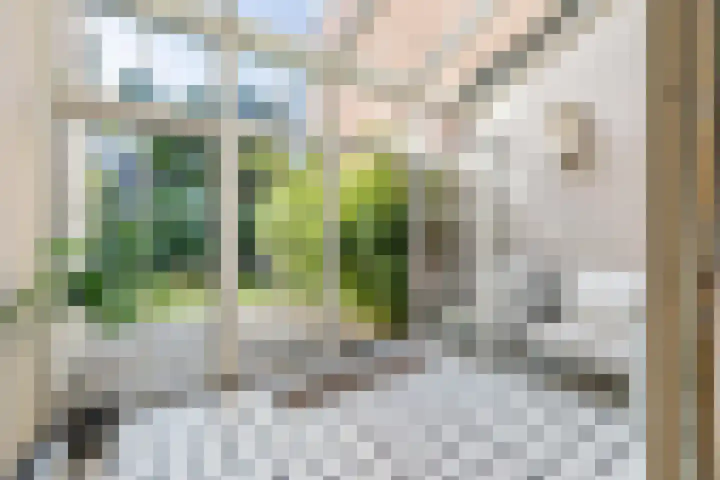 Wilhelminasingel 8 Breda thumbnail 26