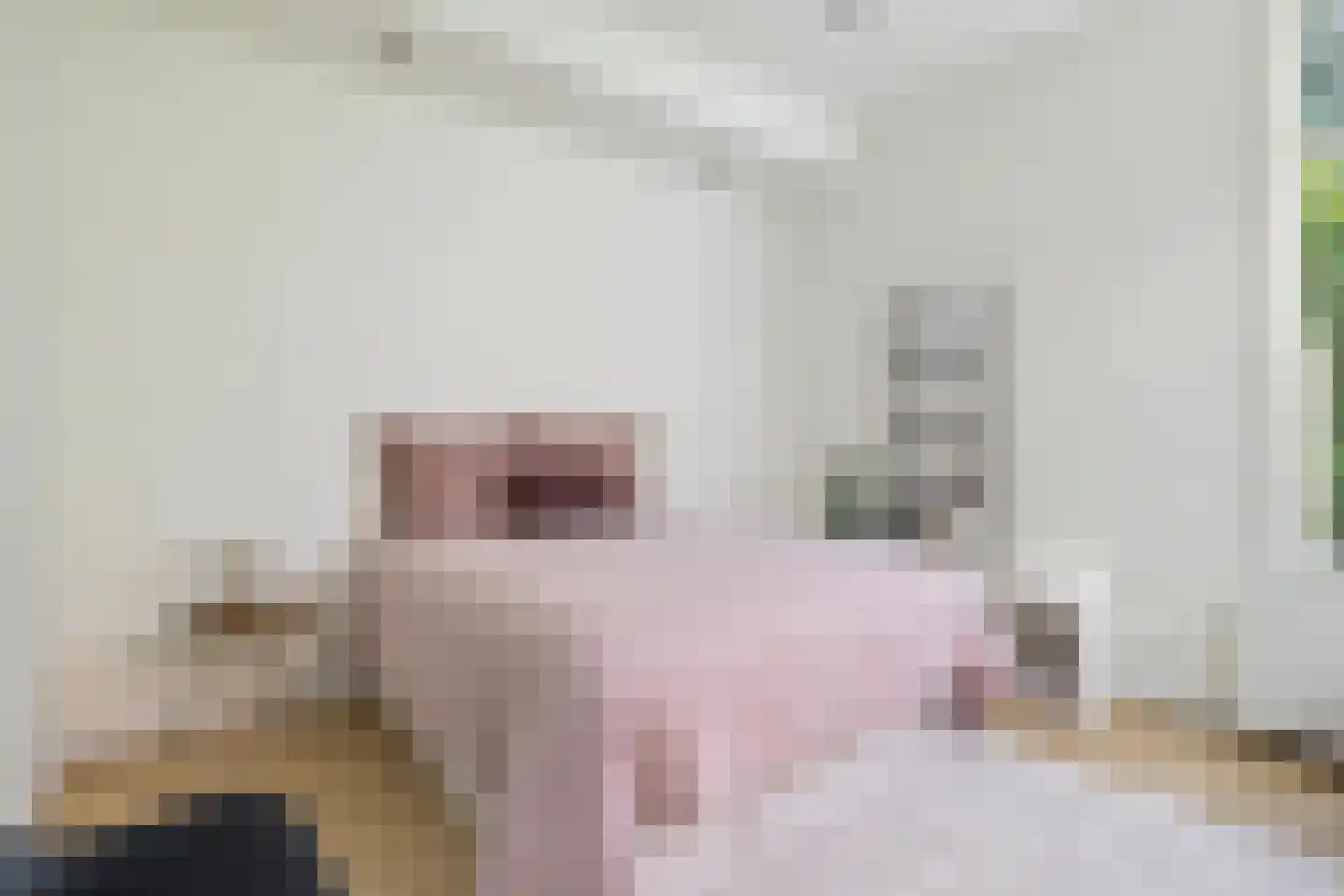 Wilhelminasingel 8 Breda thumbnail 32