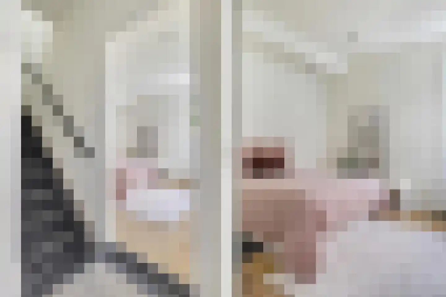Wilhelminasingel 8 Breda thumbnail 36