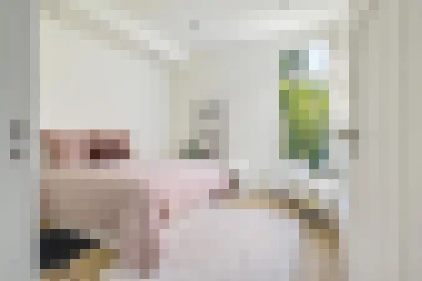 Wilhelminasingel 8 Breda thumbnail 4