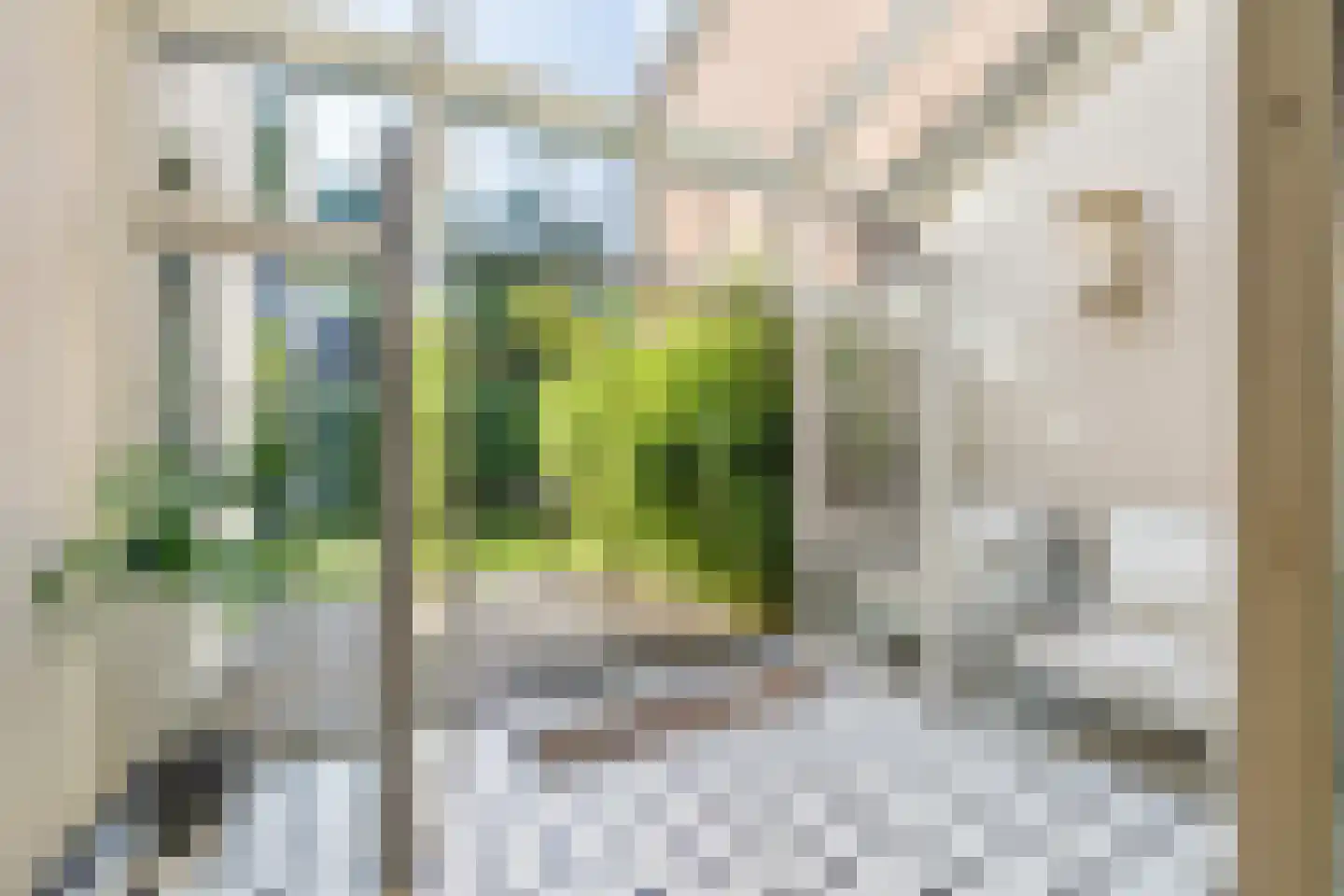 Wilhelminasingel 8 Breda thumbnail 46