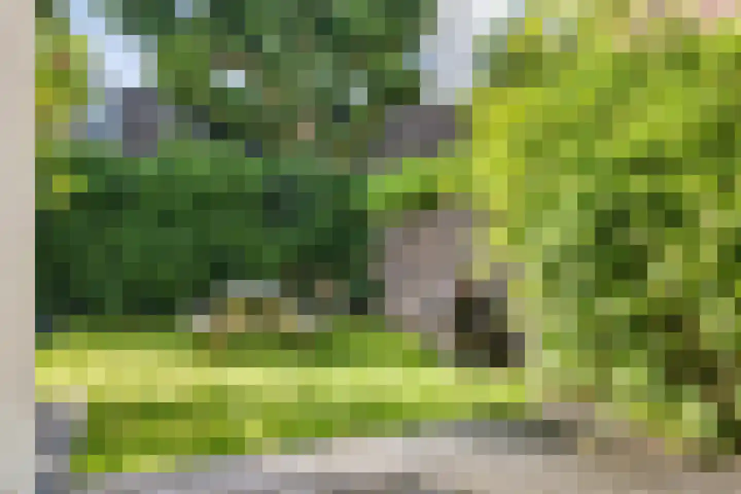 Wilhelminasingel 8 Breda thumbnail 48