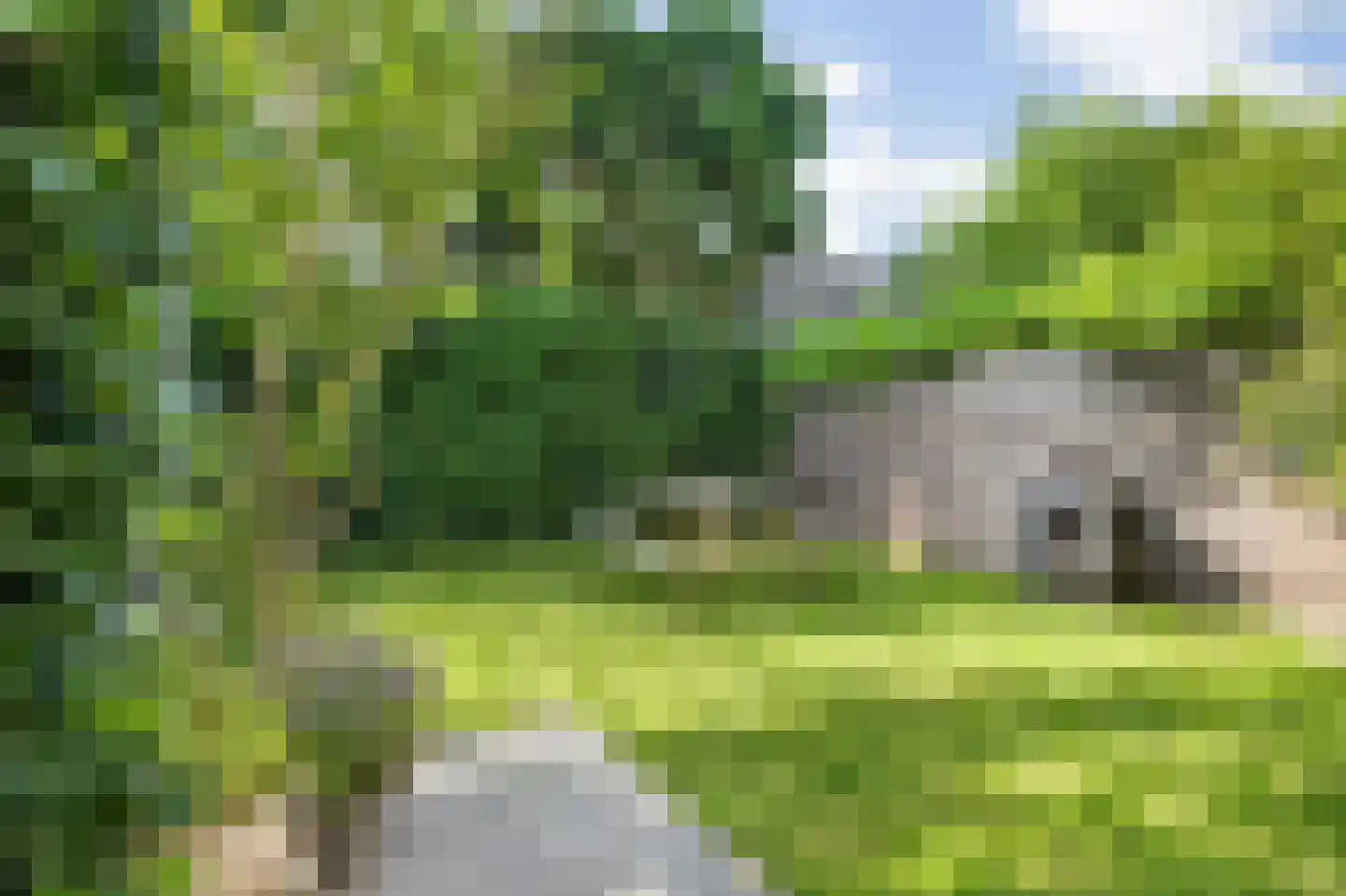 Wilhelminasingel 8 Breda thumbnail 49