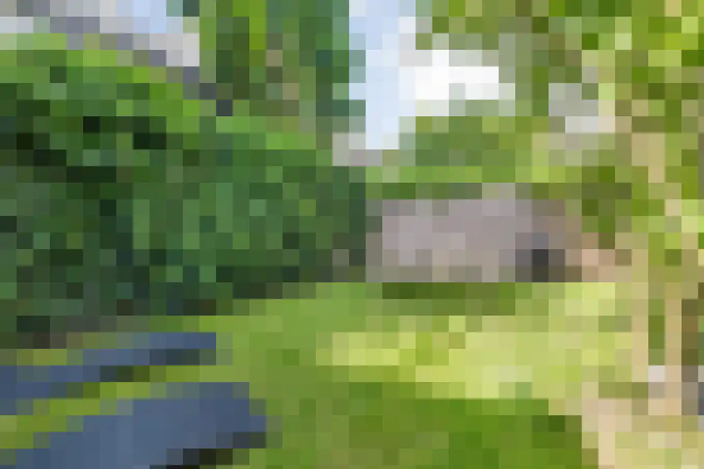 Wilhelminasingel 8 Breda thumbnail 51
