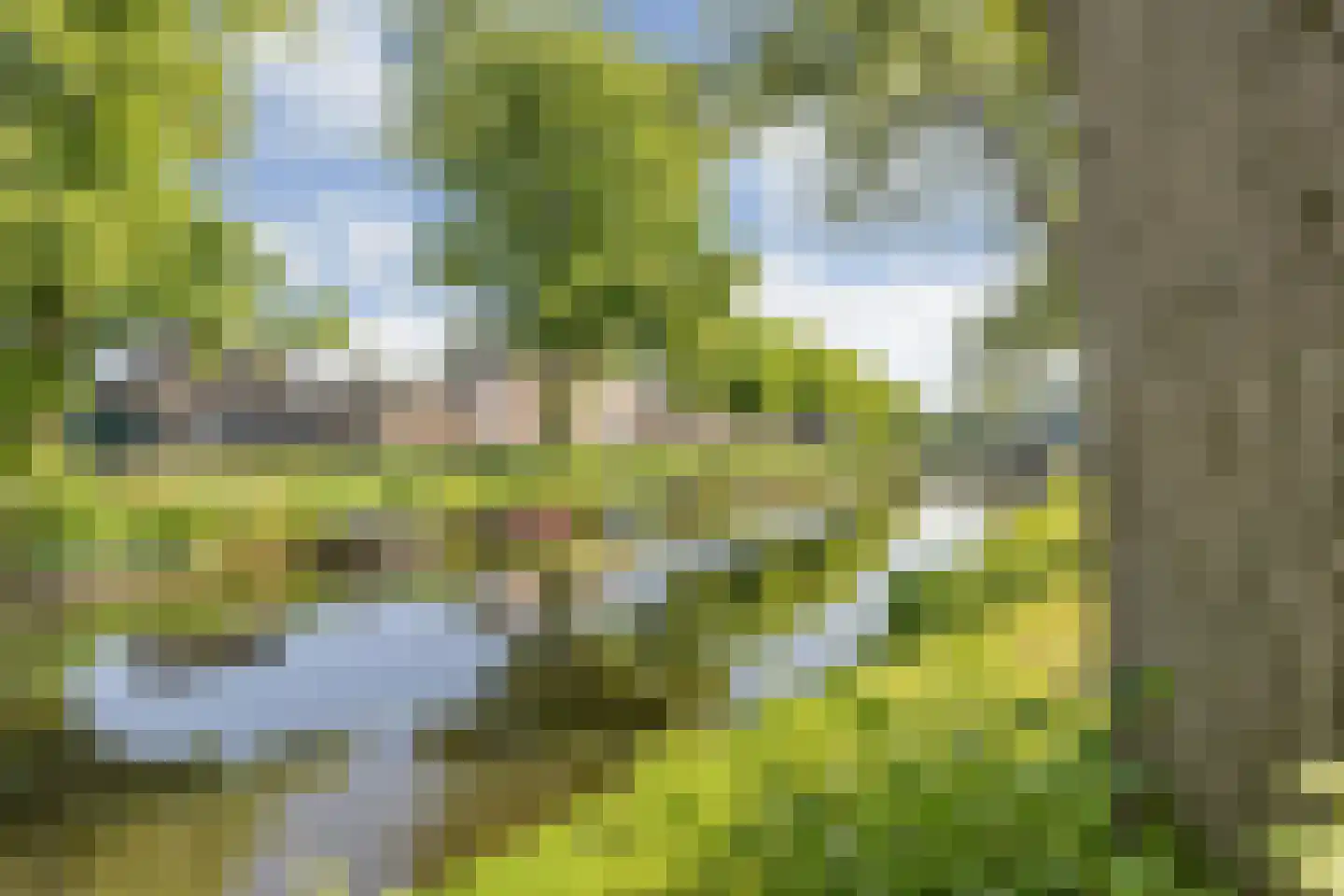 Wilhelminasingel 8 Breda thumbnail 55