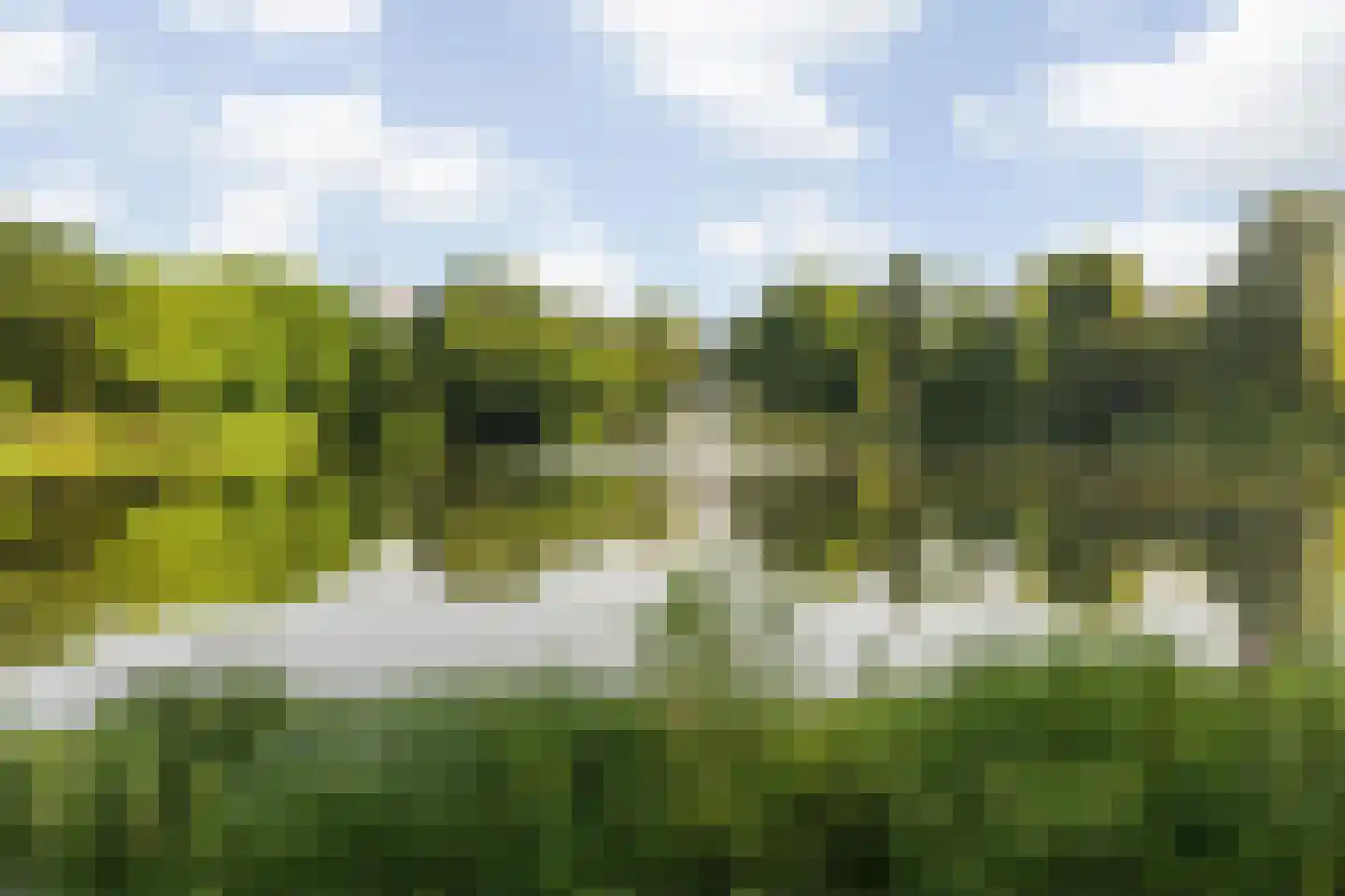 Wilhelminasingel 8 Breda thumbnail 58