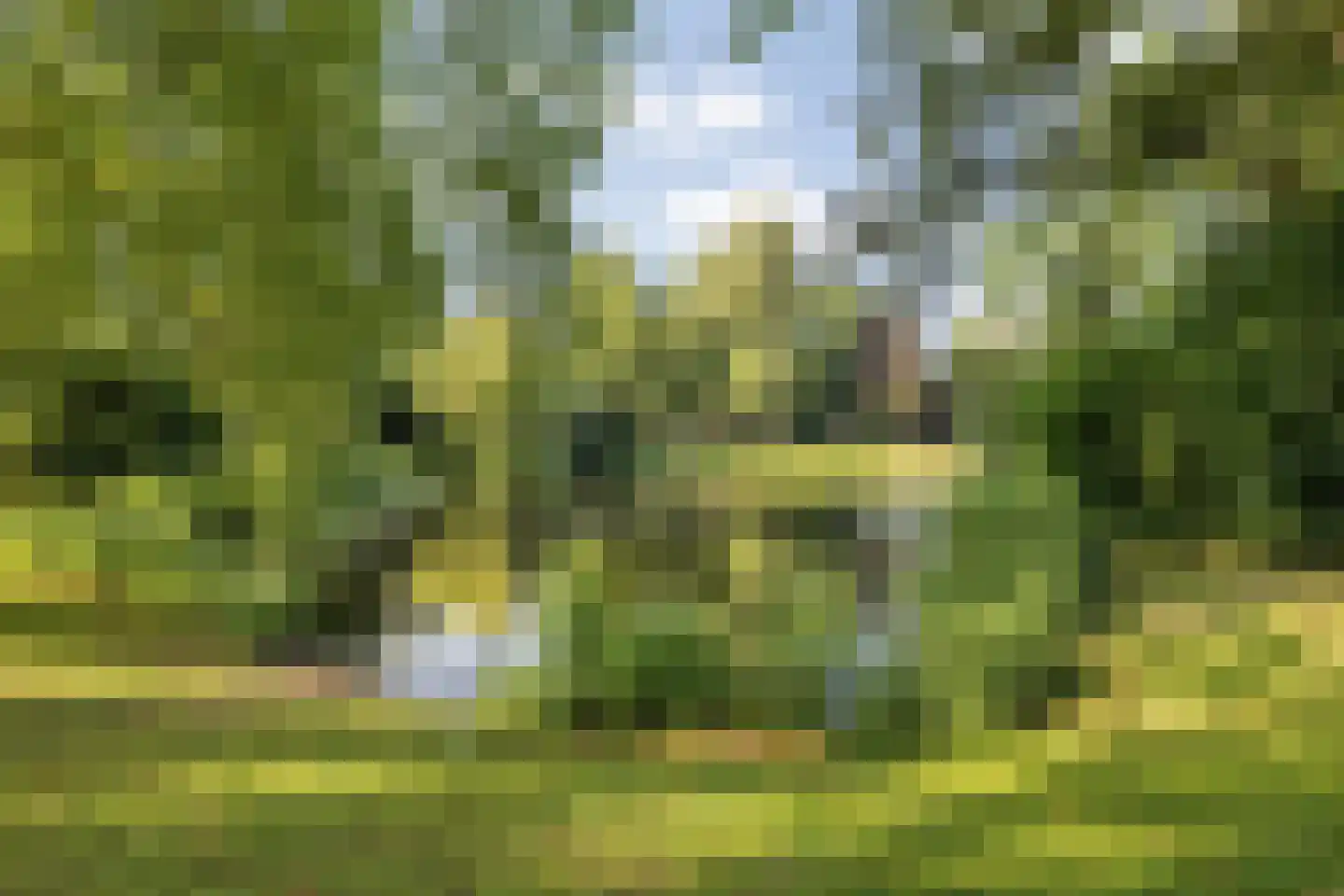Wilhelminasingel 8 Breda thumbnail 60