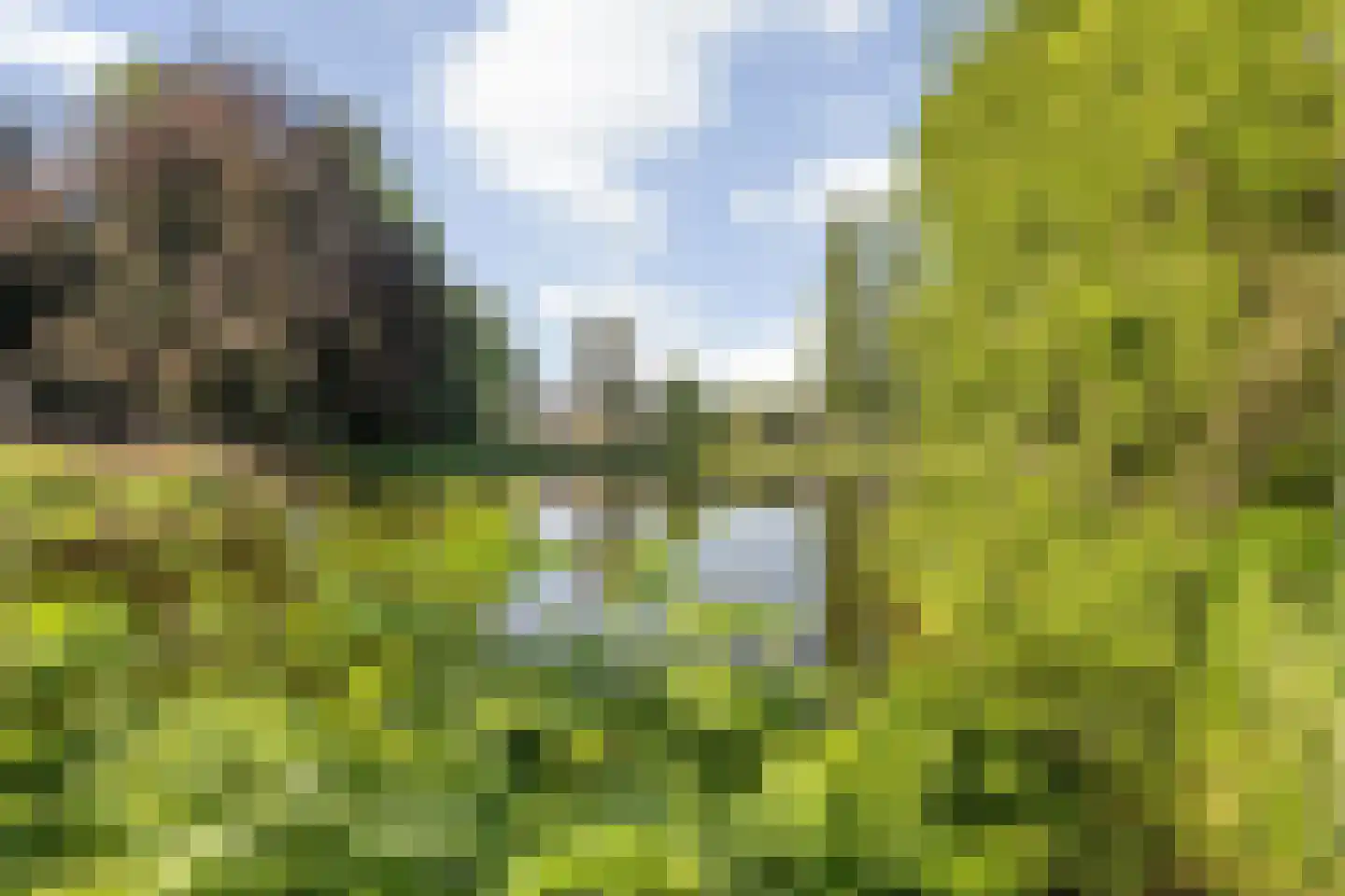 Wilhelminasingel 8 Breda thumbnail 61