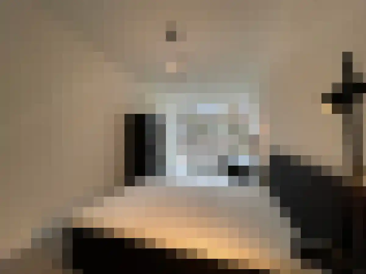 Wilhelminasingel 99 Maastricht thumbnail 5