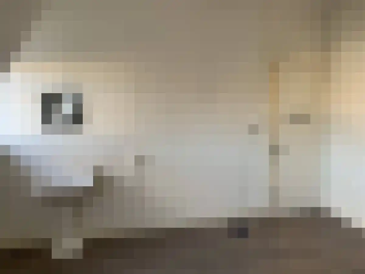Wilhelminasingel Maastricht thumbnail 4