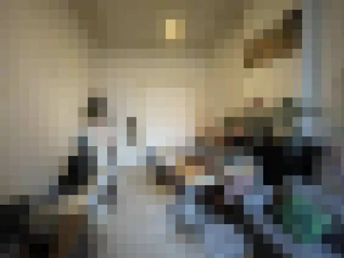 Wilhelminasingel Maastricht thumbnail 5