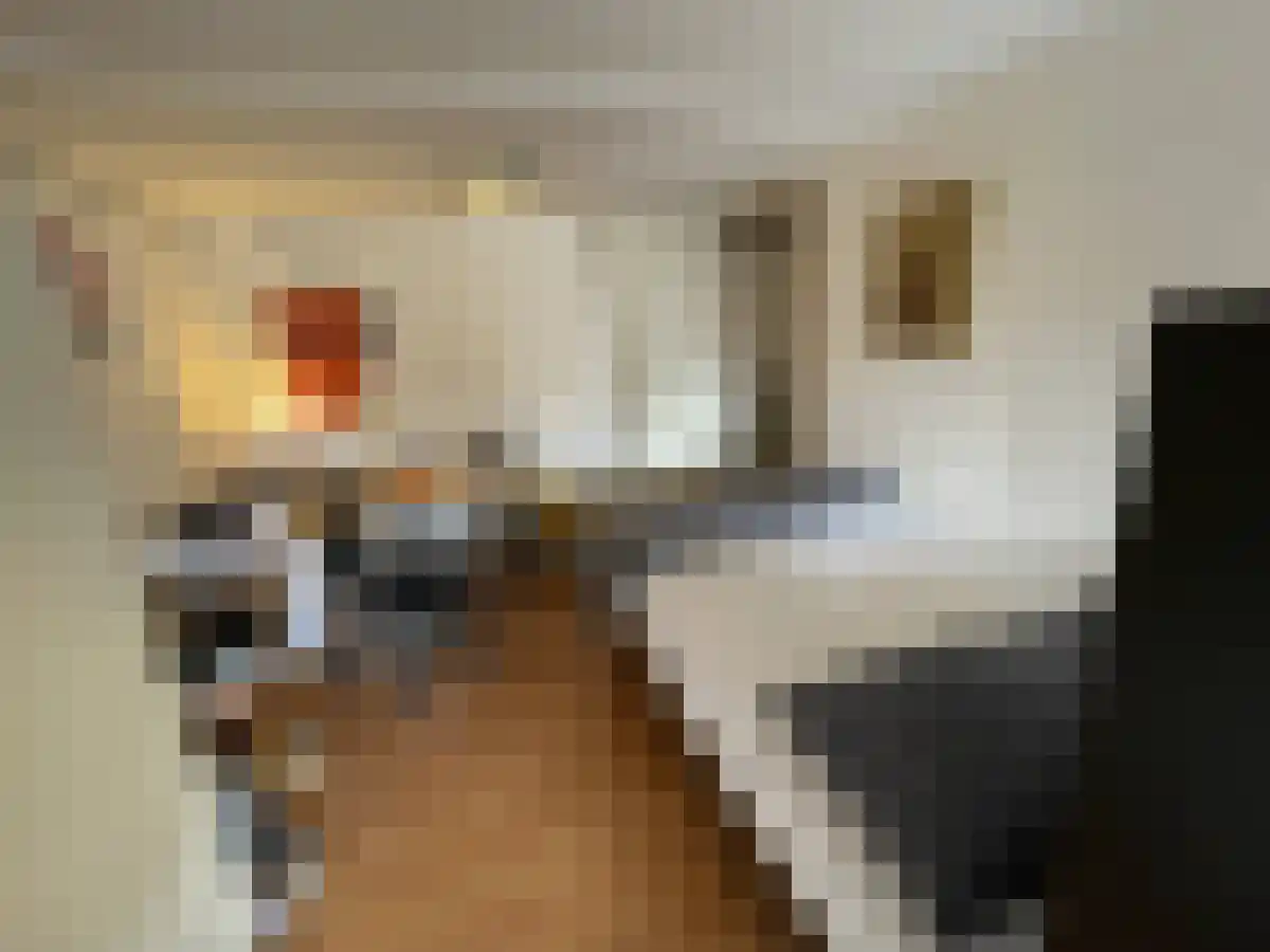 Wilhelminasingel Maastricht thumbnail 5