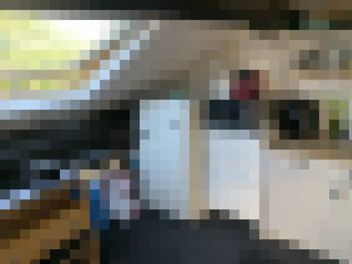 Wilhelminasingel Maastricht thumbnail 6