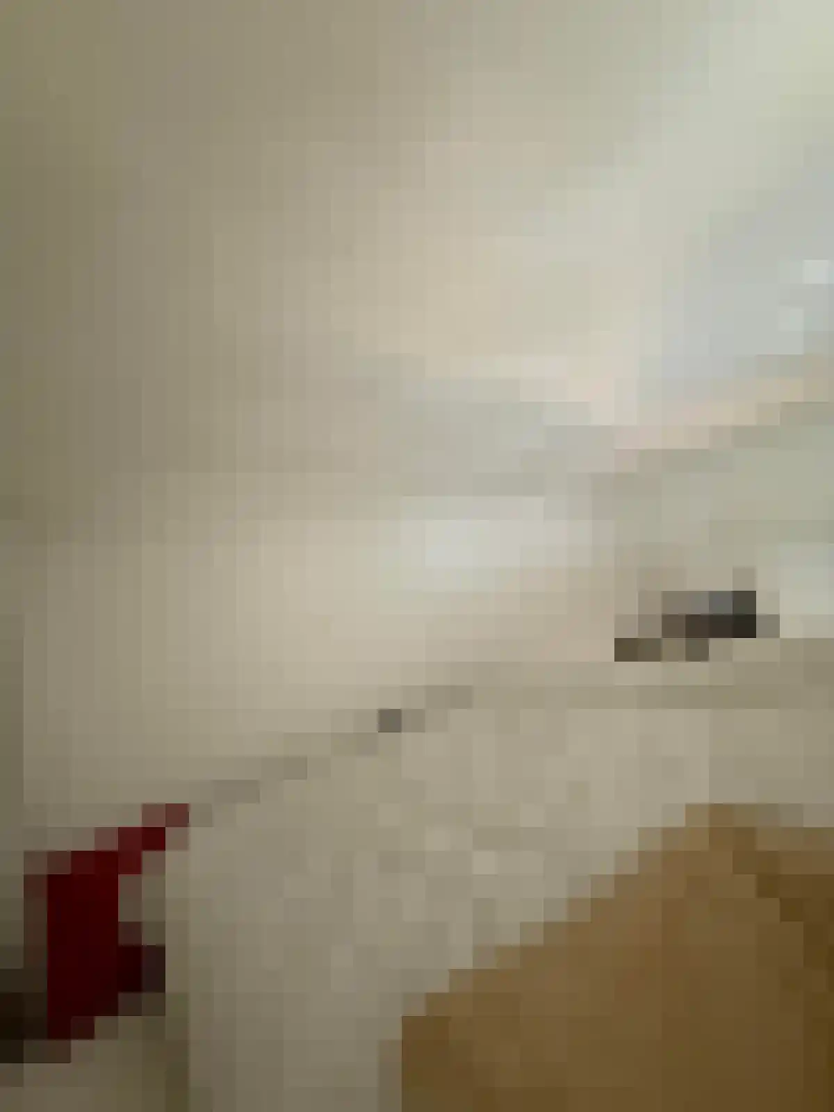 Wilhelminasingel Maastricht thumbnail 6