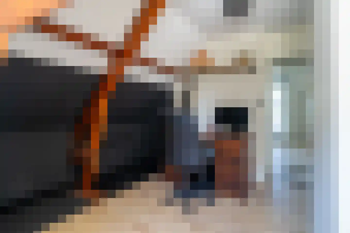 Wilhelminasluis 9 Andel thumbnail 21