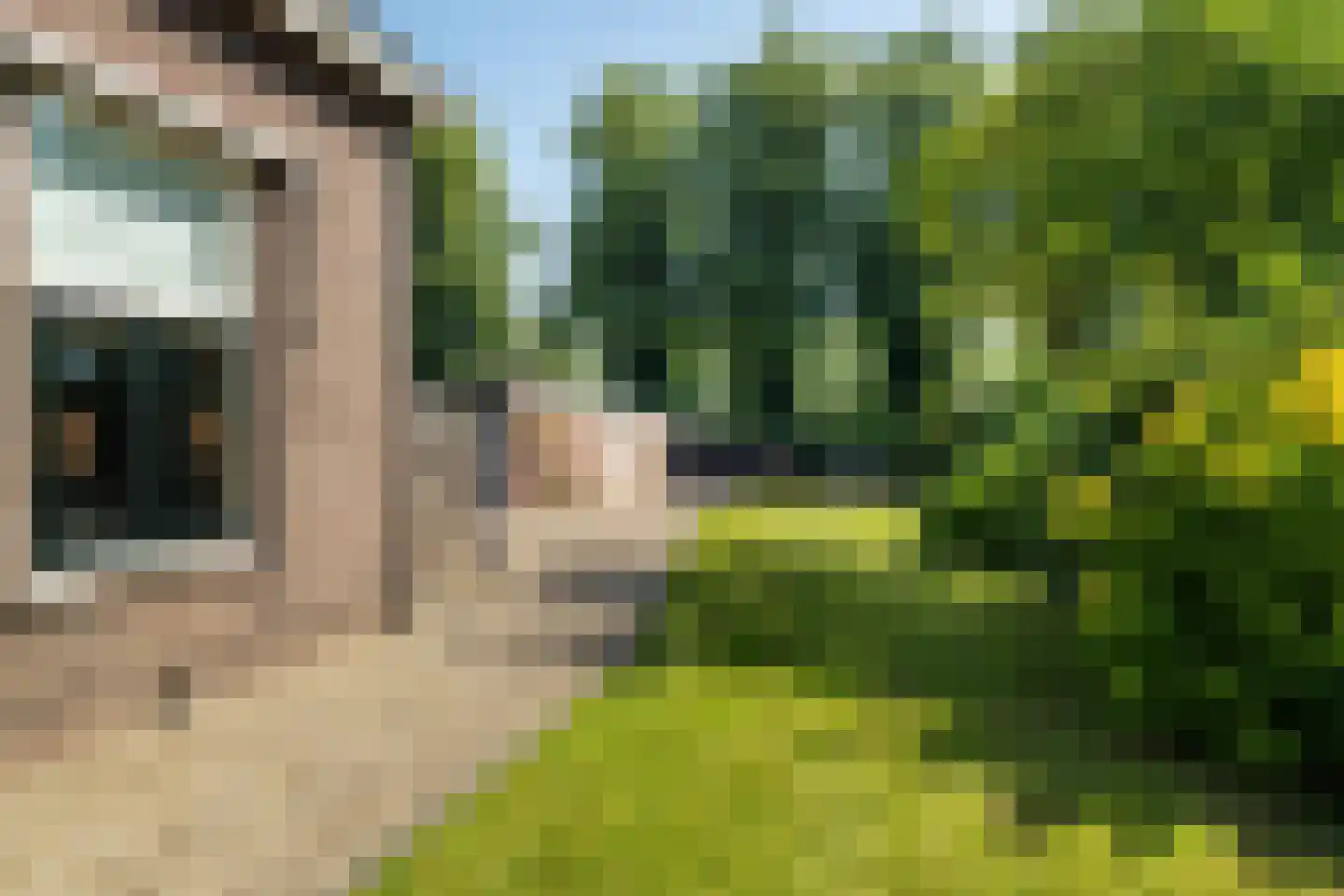 Wilhelminasluis 9 Andel thumbnail 27