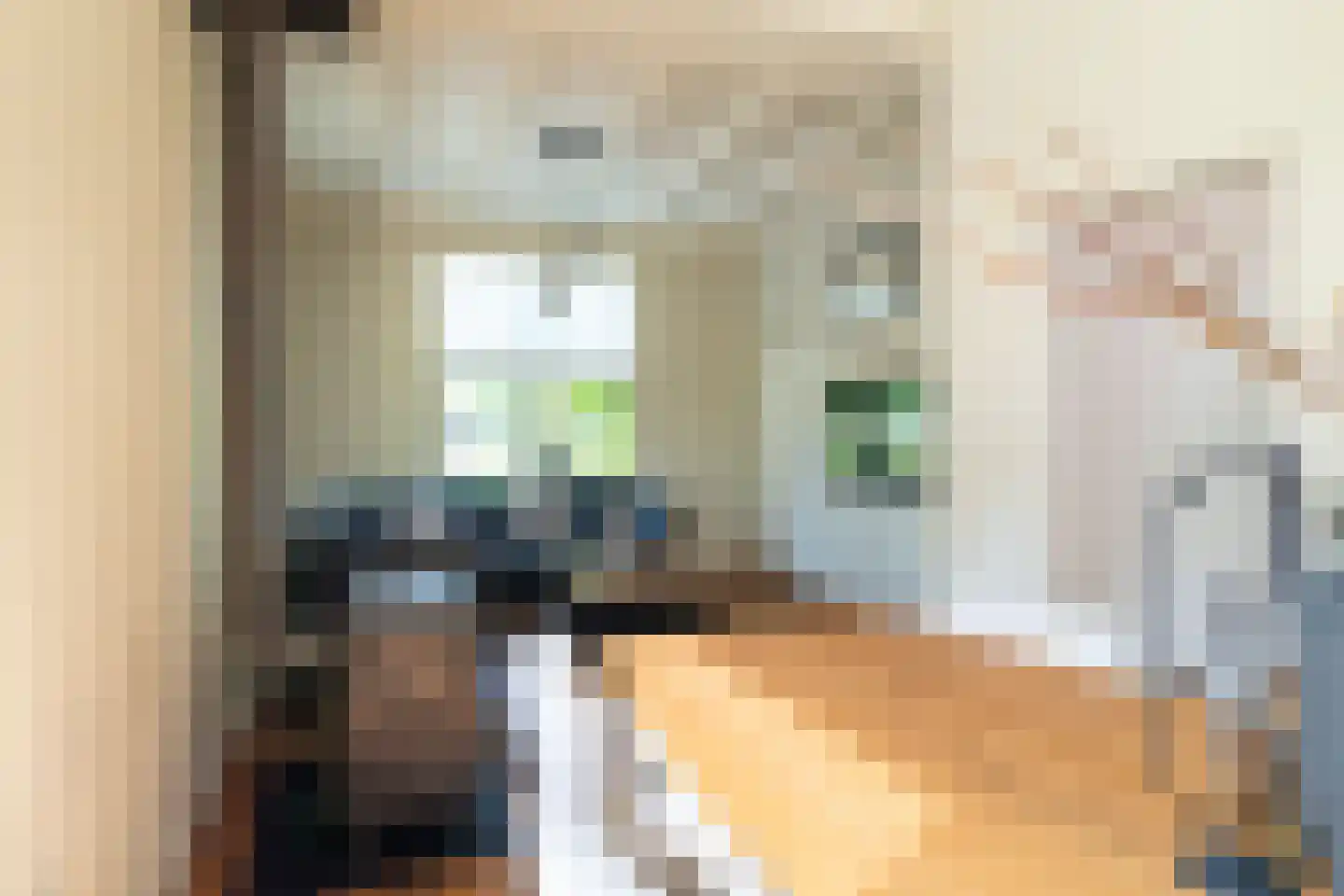 Wilhelminasluis 9 Andel thumbnail 9