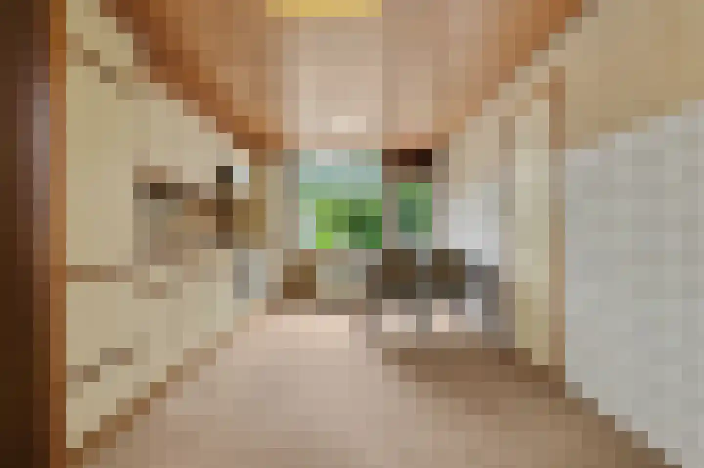 Wilhelminastraat 1 A Heinenoord thumbnail 10