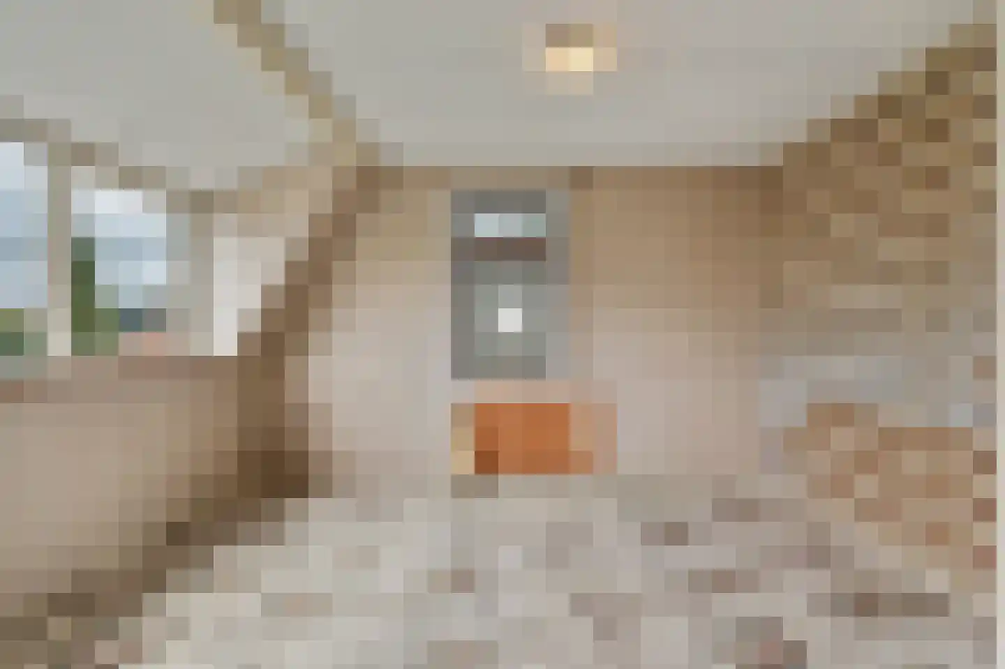 Wilhelminastraat 1 A Heinenoord thumbnail 18