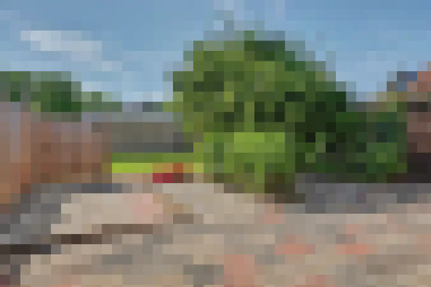 Wilhelminastraat 1 A Heinenoord thumbnail 28