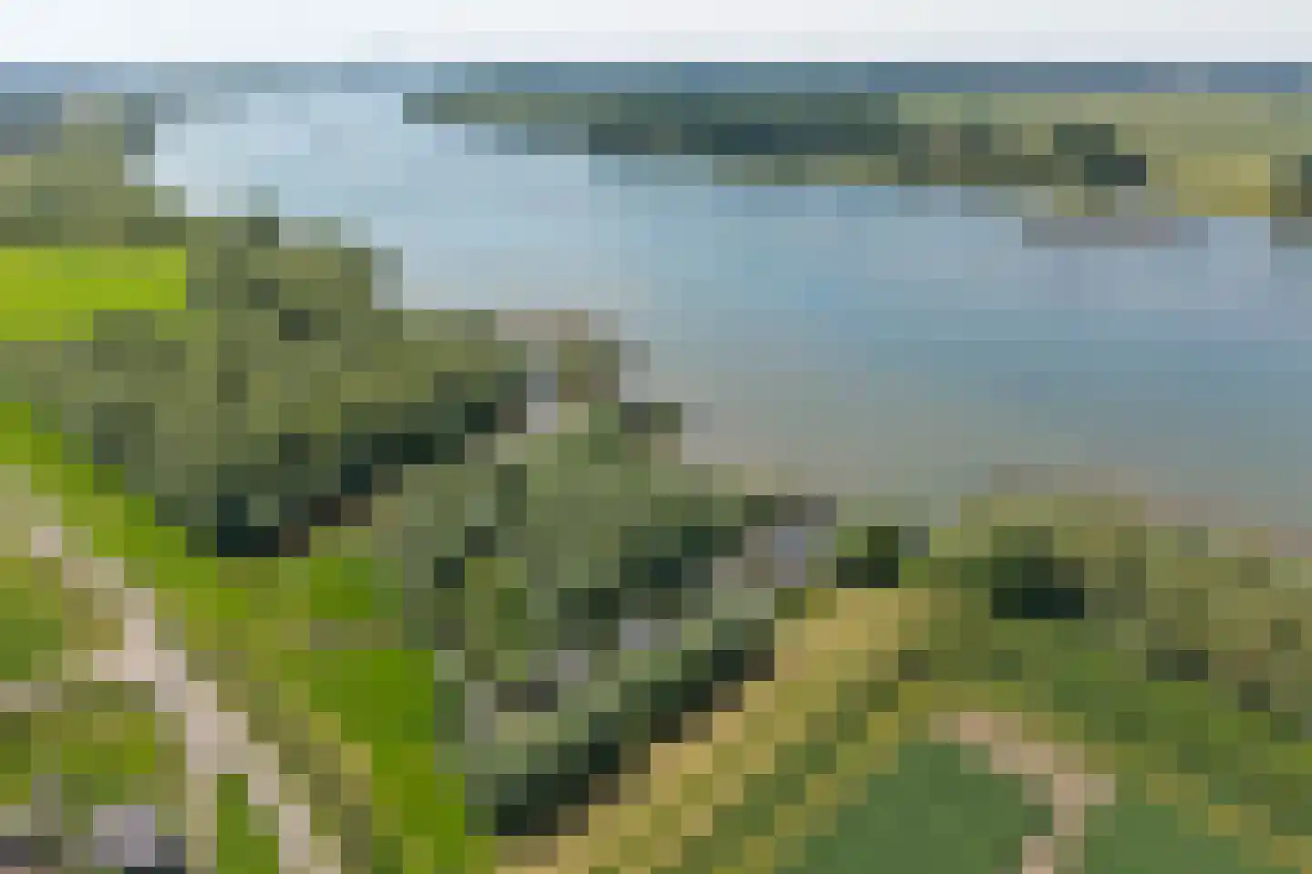 Wilhelminastraat 1 A Heinenoord thumbnail 36