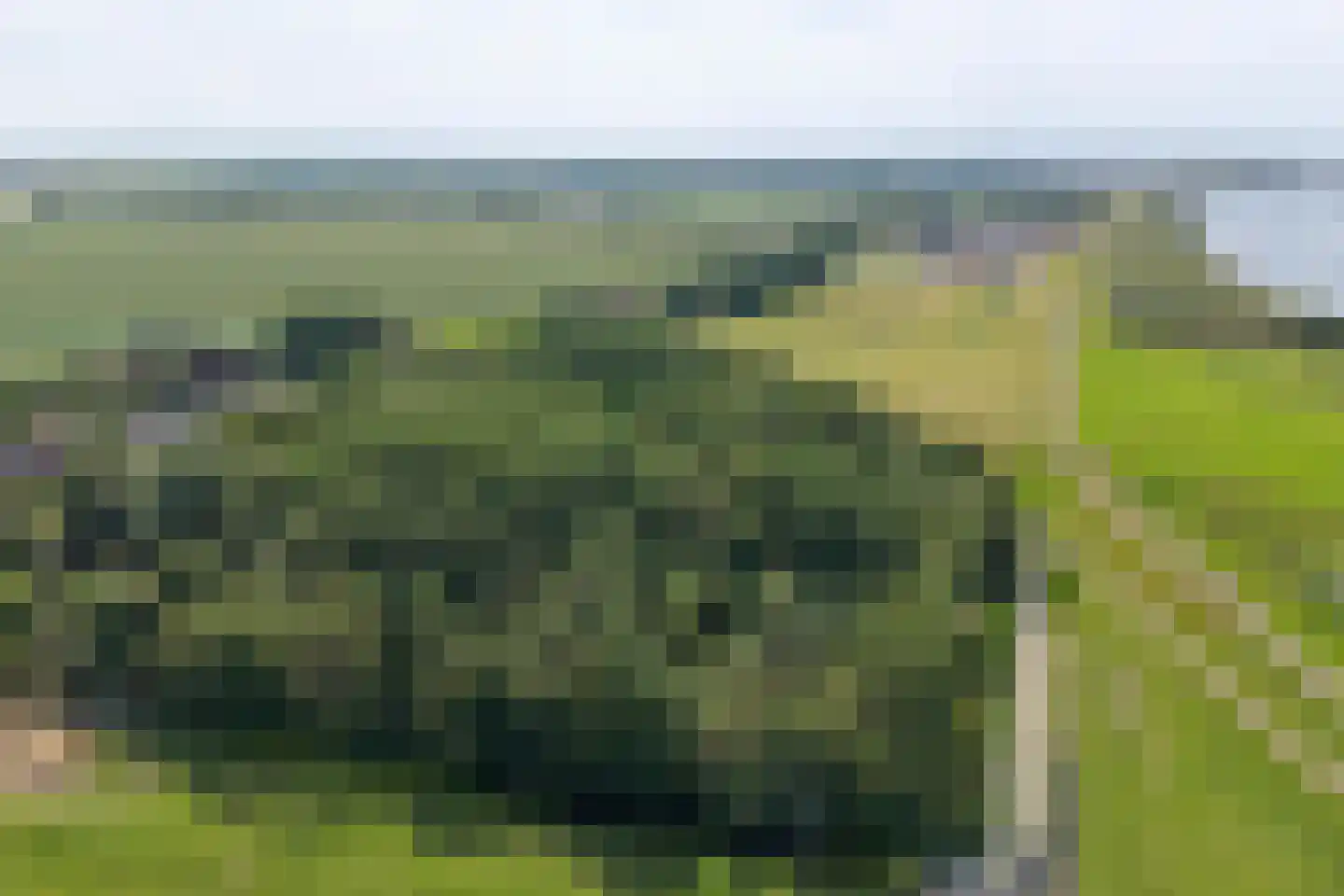 Wilhelminastraat 1 A Heinenoord thumbnail 38