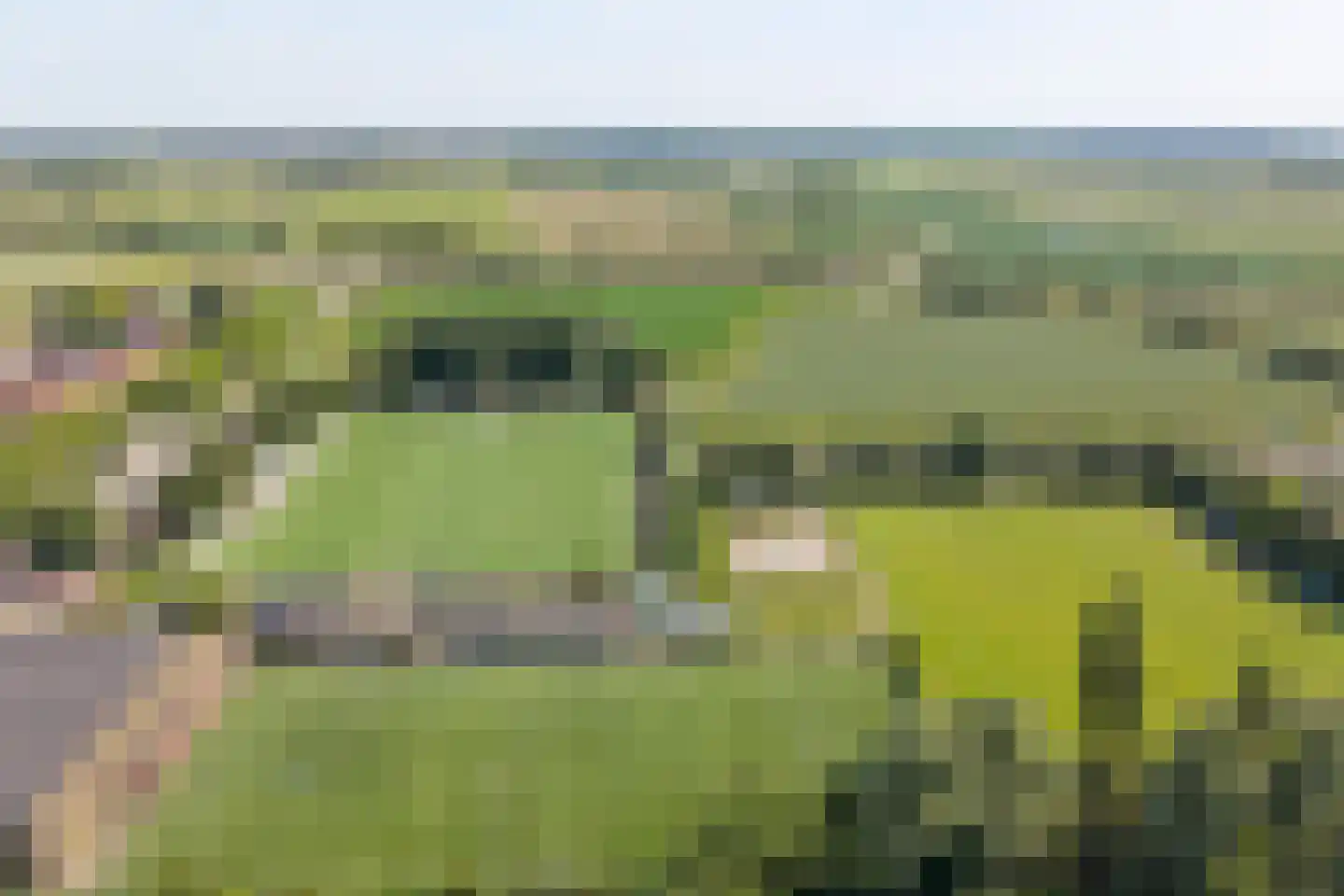 Wilhelminastraat 1 A Heinenoord thumbnail 39