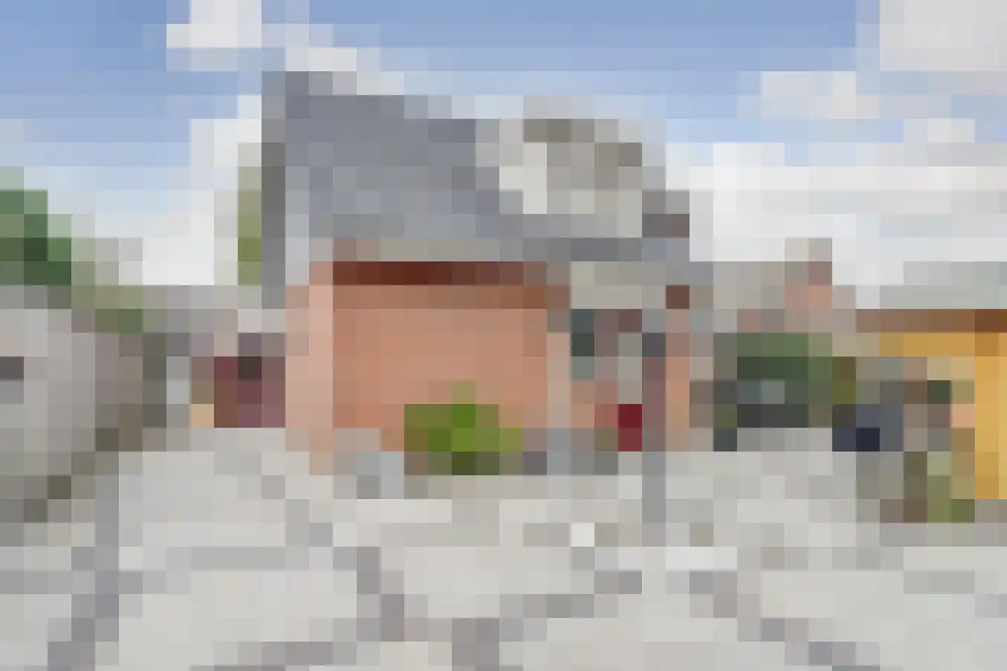 Wilhelminastraat 1 a Sint Philipsland thumbnail 34