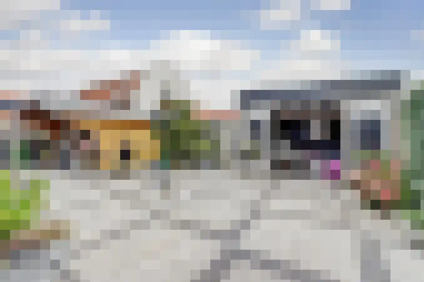 Wilhelminastraat 1 a Sint Philipsland thumbnail 5
