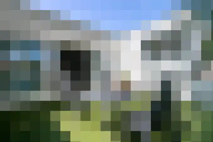 Wilhelminastraat 1 b Gendt thumbnail 17