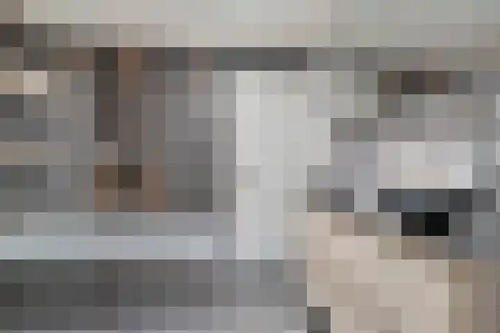 Wilhelminastraat 1 b Gendt thumbnail 20