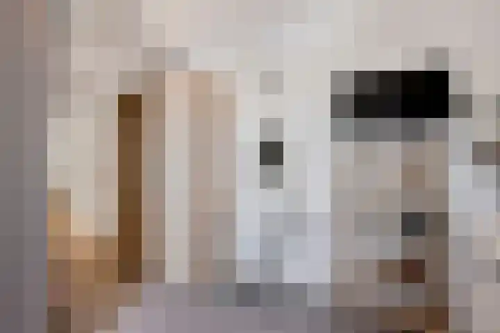 Wilhelminastraat 1 b Gendt thumbnail 25
