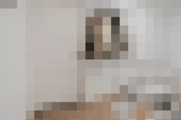 Wilhelminastraat 1 b Gendt thumbnail 27