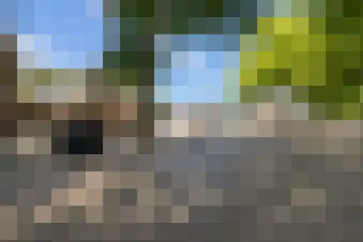 Wilhelminastraat 1 b Gendt thumbnail 32