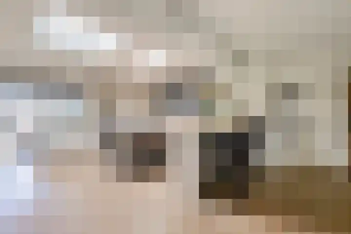 Wilhelminastraat 1 b Gendt thumbnail 6