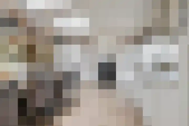 Wilhelminastraat 1 b Gendt thumbnail 8