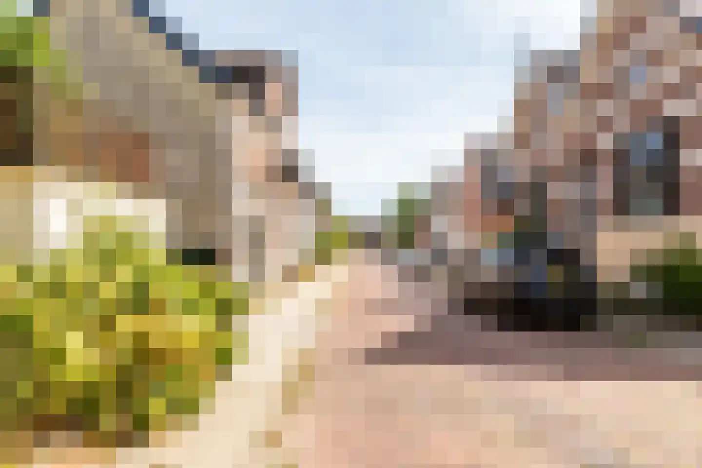 Wilhelminastraat 1 Brummen thumbnail 24