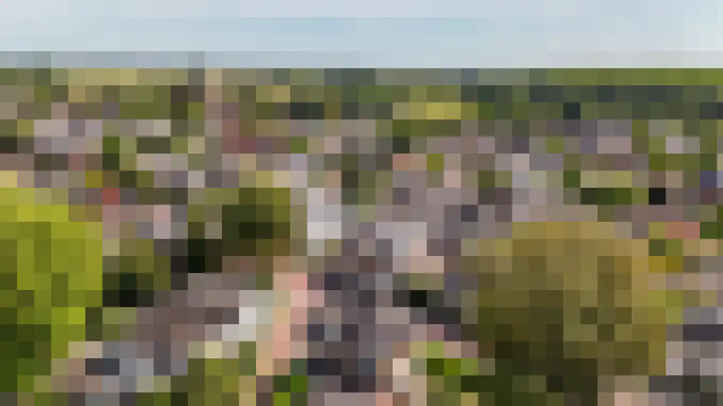 Wilhelminastraat 1 Brummen thumbnail 29