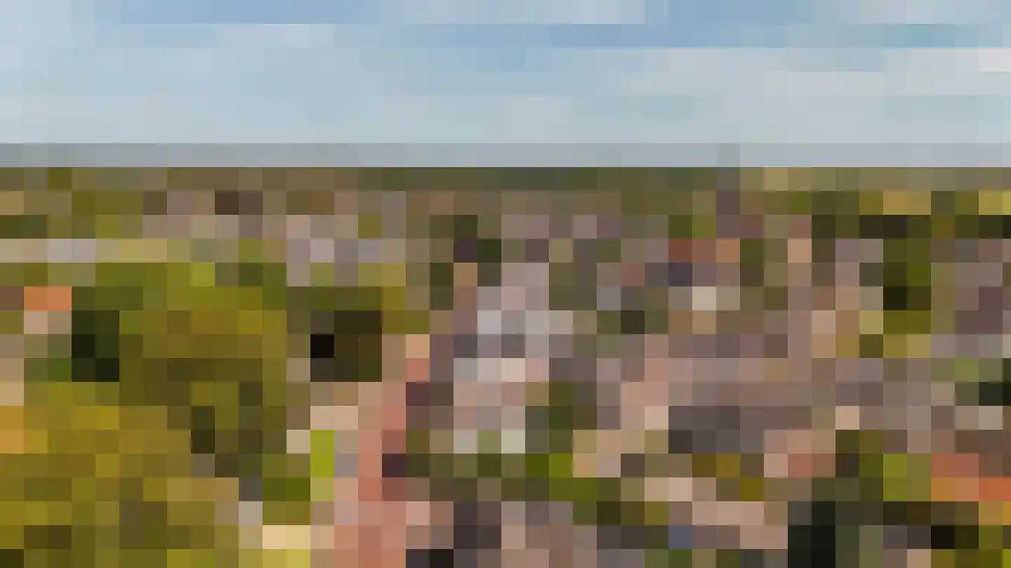 Wilhelminastraat 1 Brummen thumbnail 30