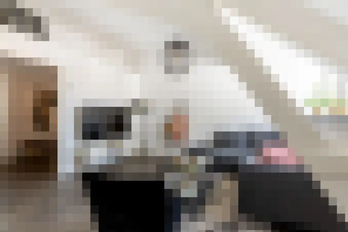 Wilhelminastraat 1 Brummen thumbnail 4