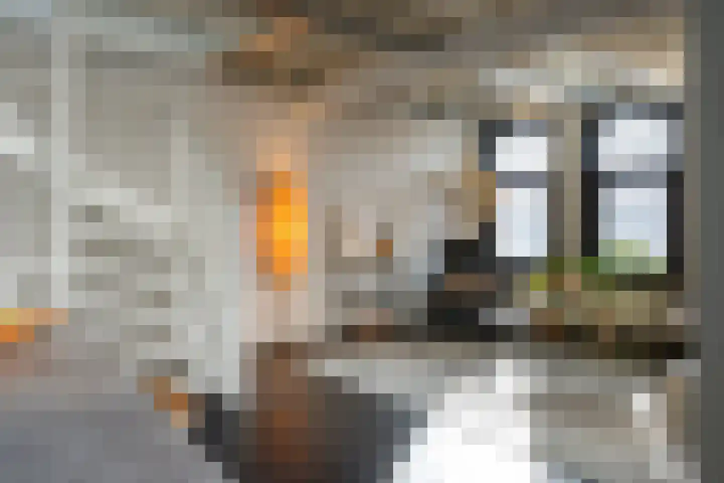 Wilhelminastraat 1 c Roosendaal thumbnail 8