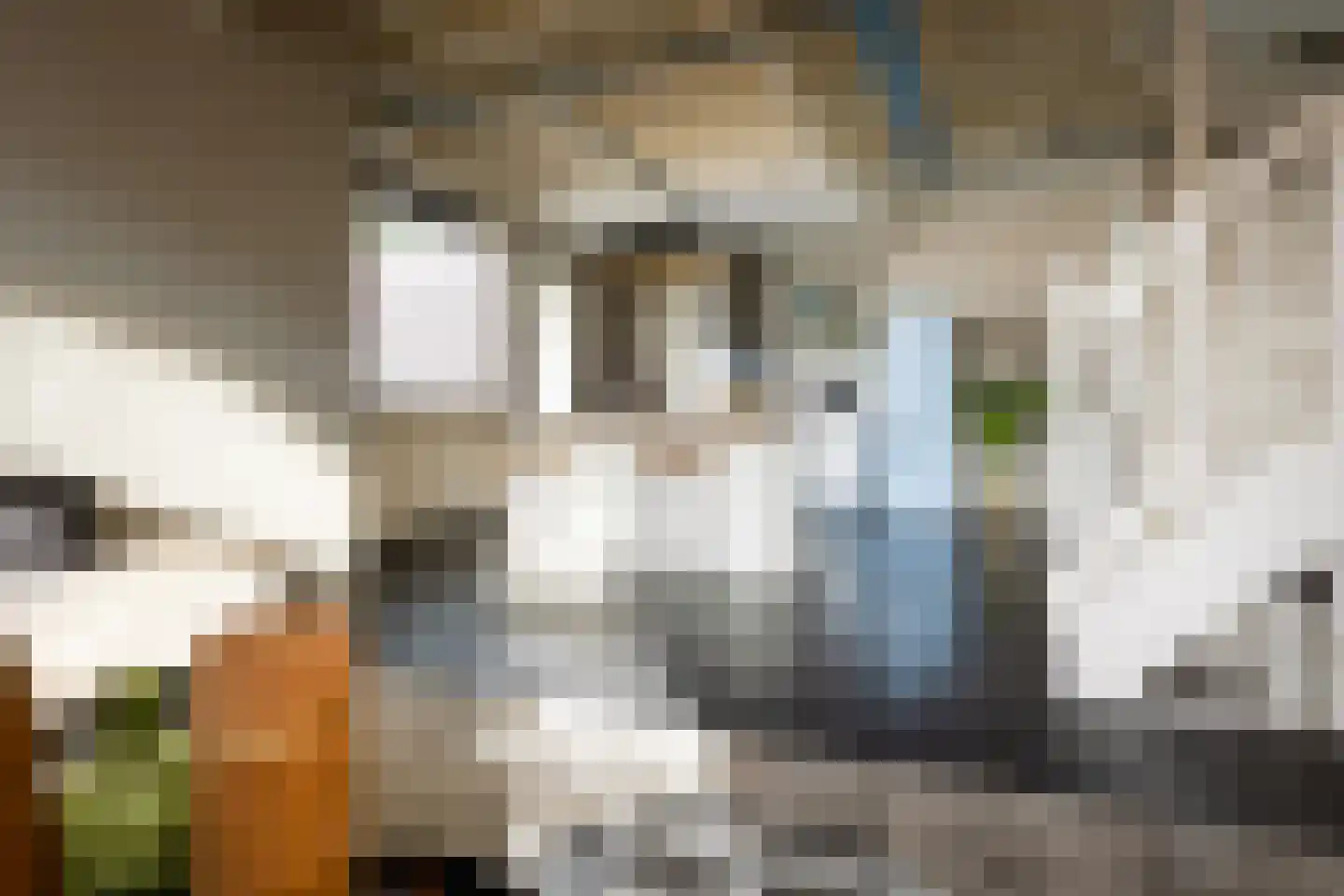 Wilhelminastraat 1 c Roosendaal thumbnail 9