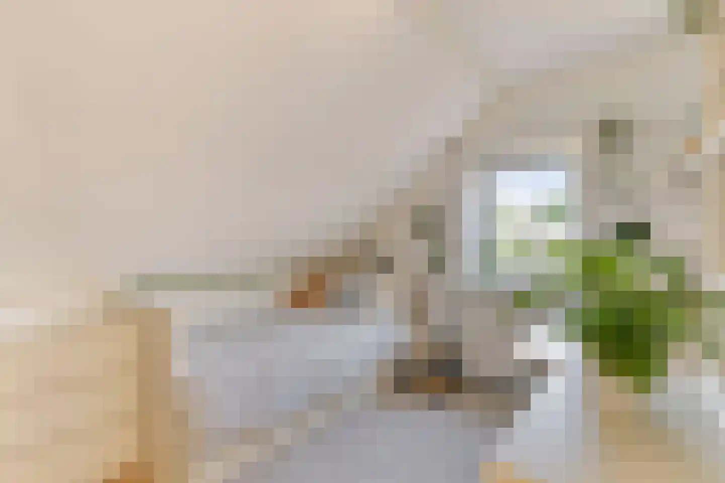 Wilhelminastraat 1 Dinxperlo thumbnail 31